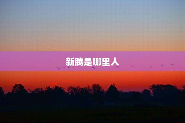 新腾是哪里人