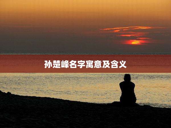 孙楚峰名字寓意及含义