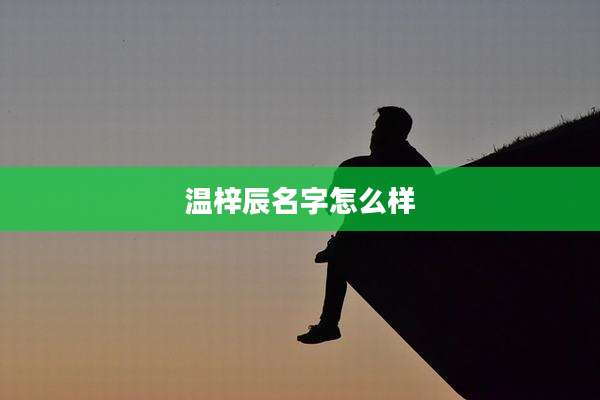 温梓辰名字怎么样