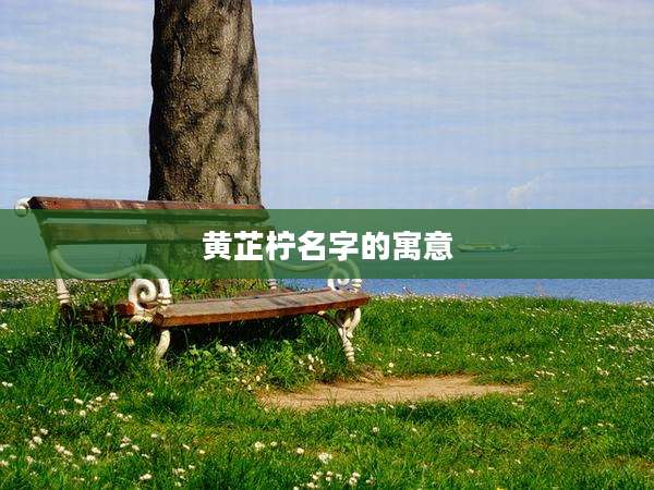 黄芷柠名字的寓意