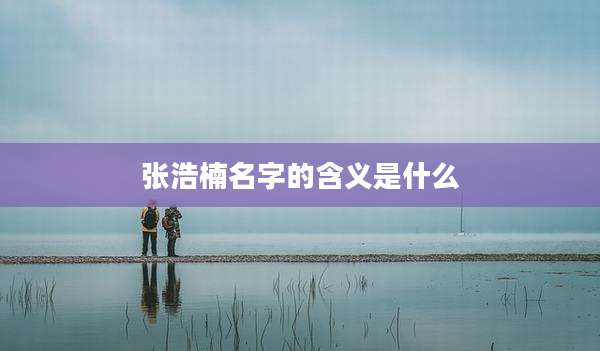 张浩楠名字的含义是什么