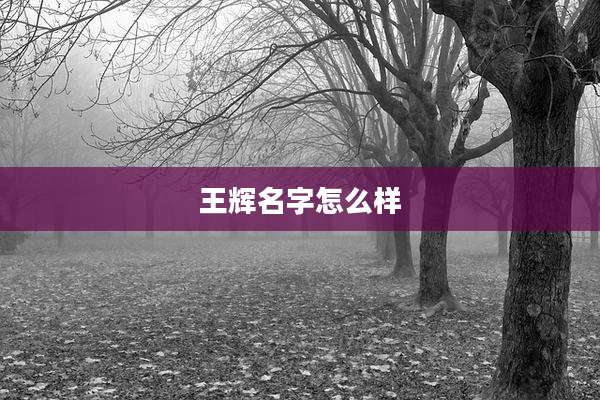 王辉名字怎么样