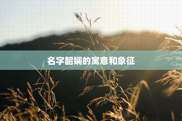 名字韶娴的寓意和象征