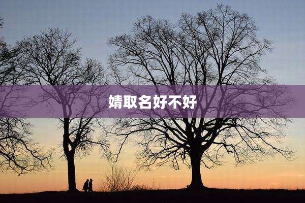婧取名好不好