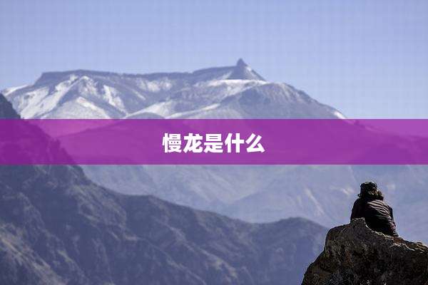 慢龙是什么