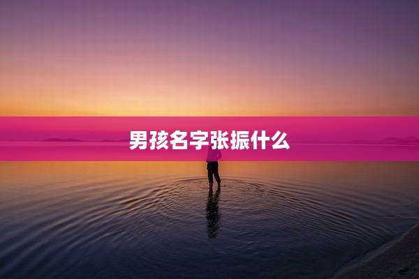 男孩名字张振什么