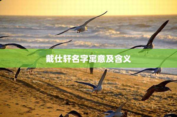 戴仕轩名字寓意及含义