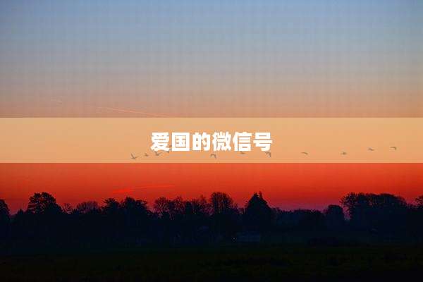 爱国的微信号