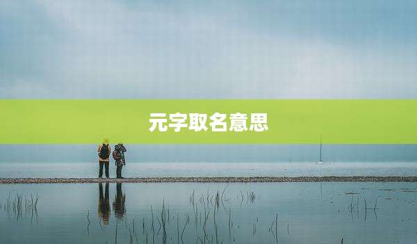 元字取名意思