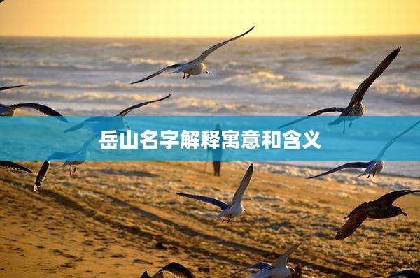 岳山名字解释寓意和含义