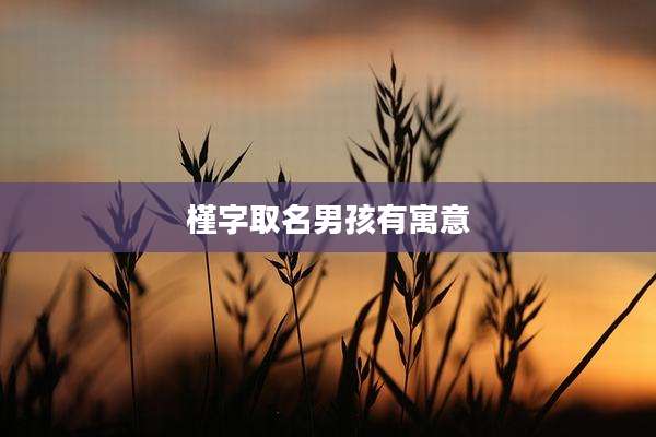 槿字取名男孩有寓意