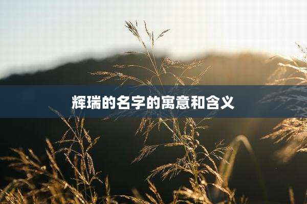 辉瑞的名字的寓意和含义