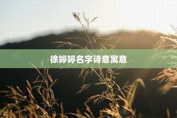 徐婷婷名字诗意寓意