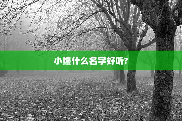 小熊什么名字好听?