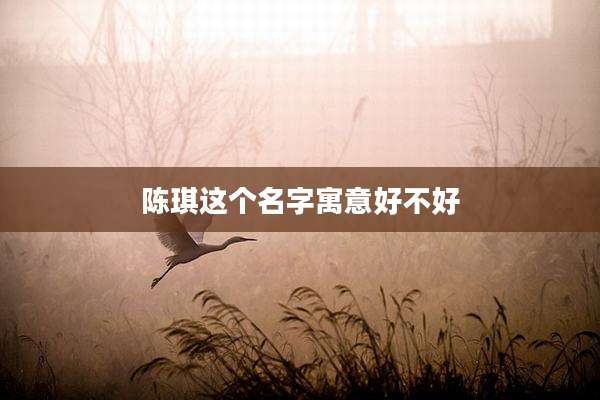 陈琪这个名字寓意好不好