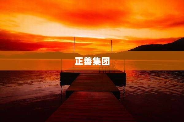 正善集团