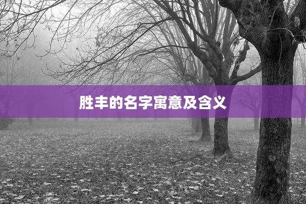 胜丰的名字寓意及含义