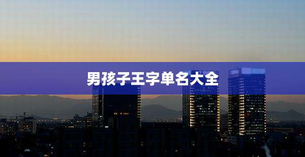 男孩子王字单名大全