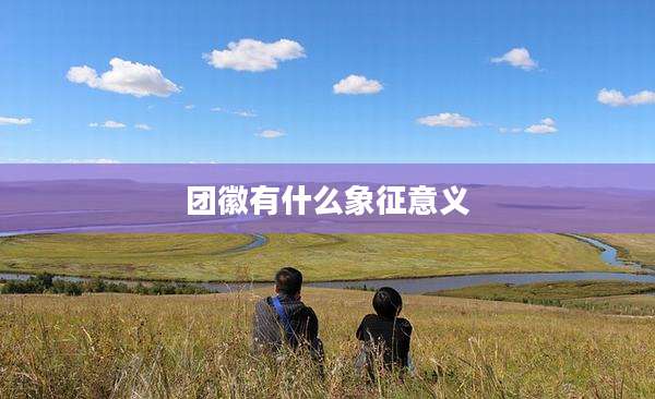 团徽有什么象征意义