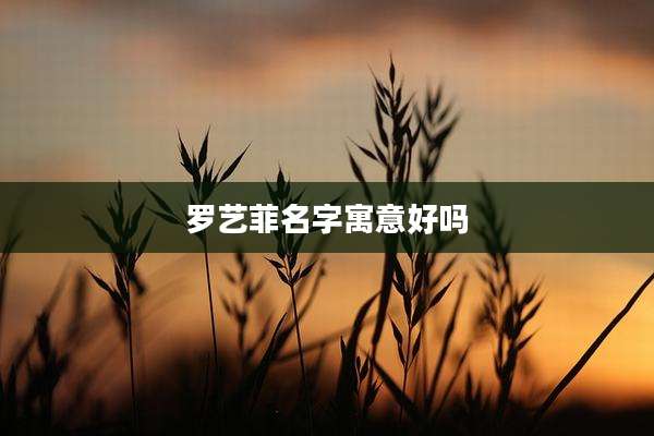 罗艺菲名字寓意好吗
