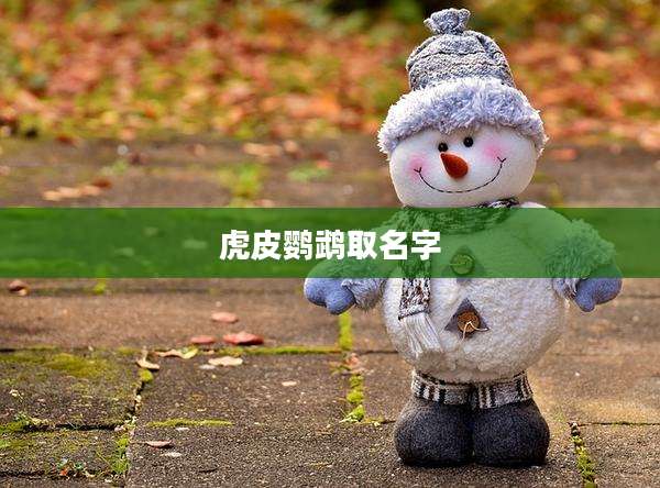 虎皮鹦鹉取名字