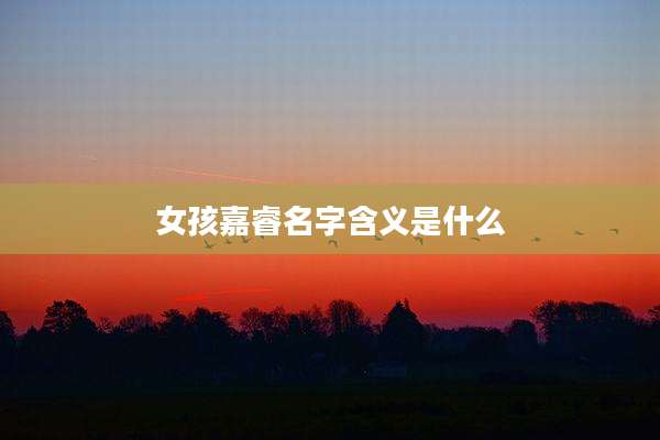 女孩嘉睿名字含义是什么