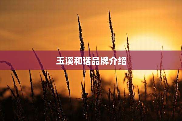 玉溪和谐品牌介绍