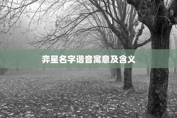 弈星名字谐音寓意及含义