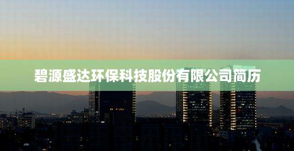 碧源盛达环保科技股份有限公司简历
