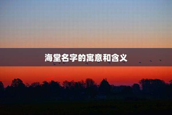 海堂名字的寓意和含义