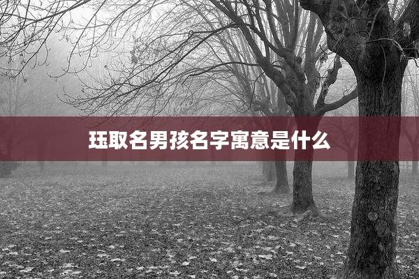 珏取名男孩名字寓意是什么