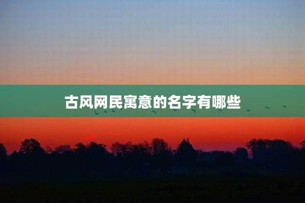 古风网民寓意的名字有哪些