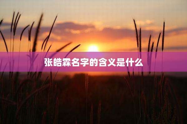 张皓霖名字的含义是什么