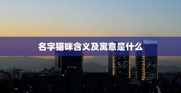 名字猫咪含义及寓意是什么