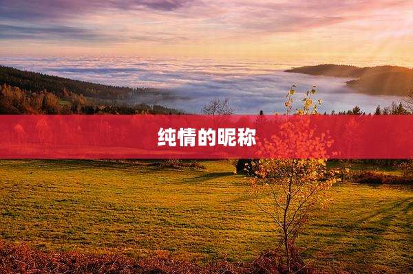 纯情的昵称