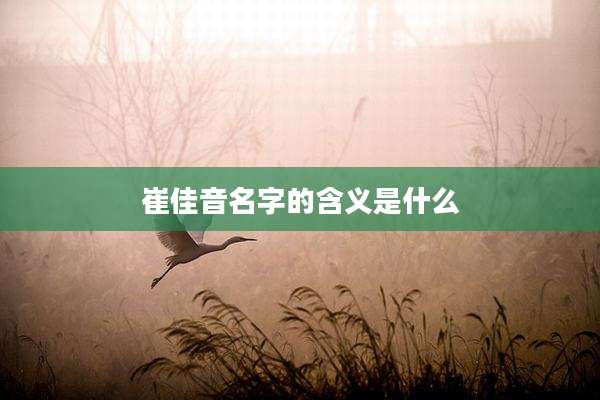 崔佳音名字的含义是什么