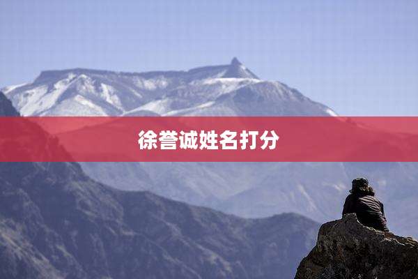 徐誉诚姓名打分