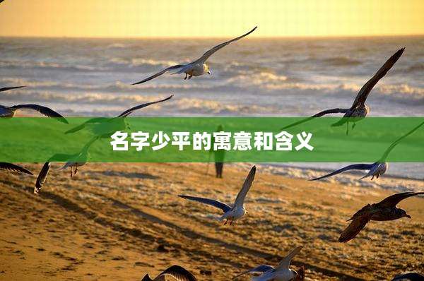 名字少平的寓意和含义