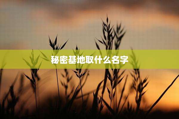 秘密基地取什么名字