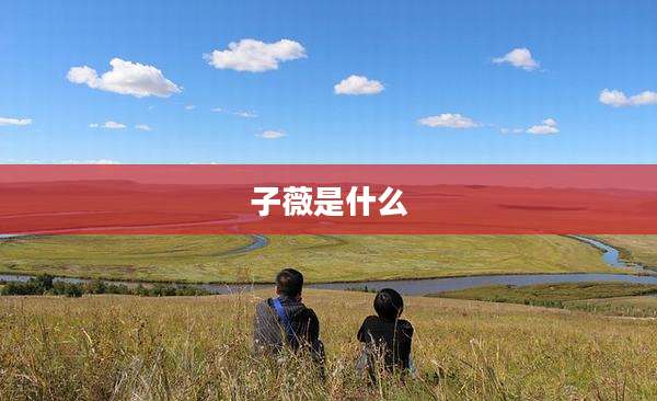 子薇是什么