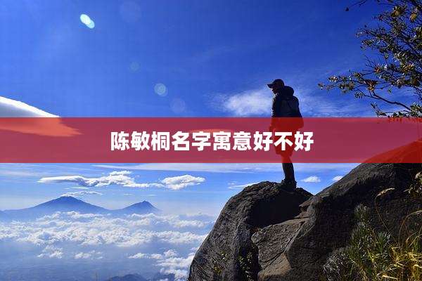 陈敏桐名字寓意好不好