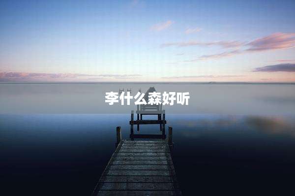 李什么森好听