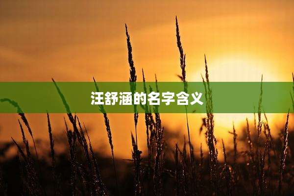 汪舒涵的名字含义