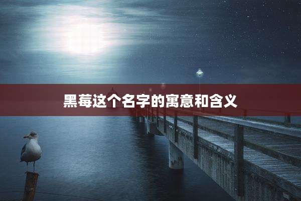 黑莓这个名字的寓意和含义