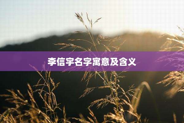 李信宇名字寓意及含义