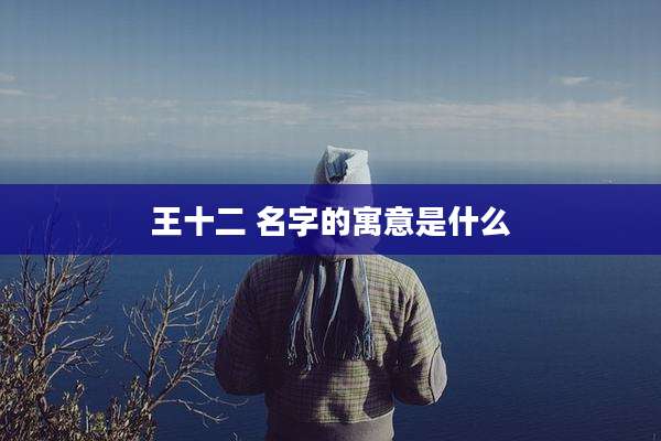 王十二 名字的寓意是什么