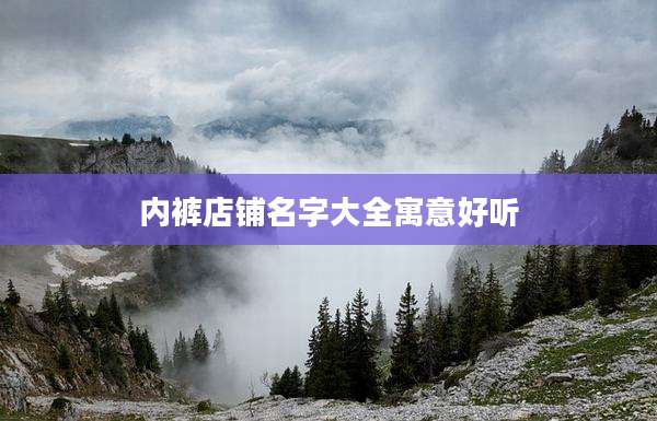 内裤店铺名字大全寓意好听