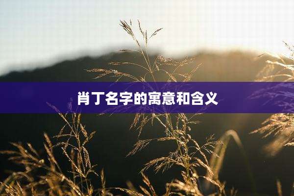 肖丁名字的寓意和含义