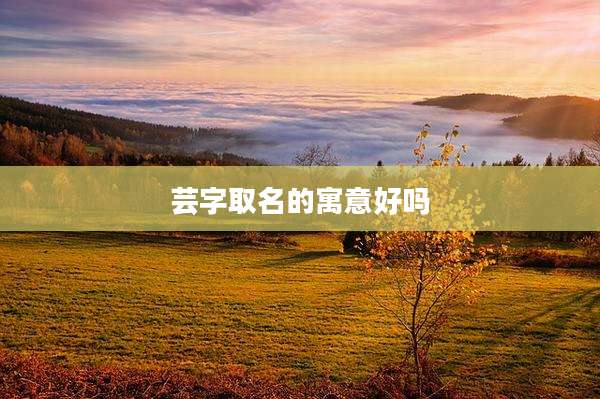 芸字取名的寓意好吗