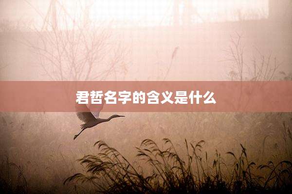 君哲名字的含义是什么